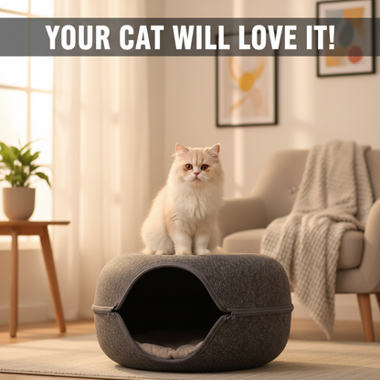 Donut Cat Tunnel Bed Pets House Natural Felt Pet Cat Cave Interactive Toys rounds