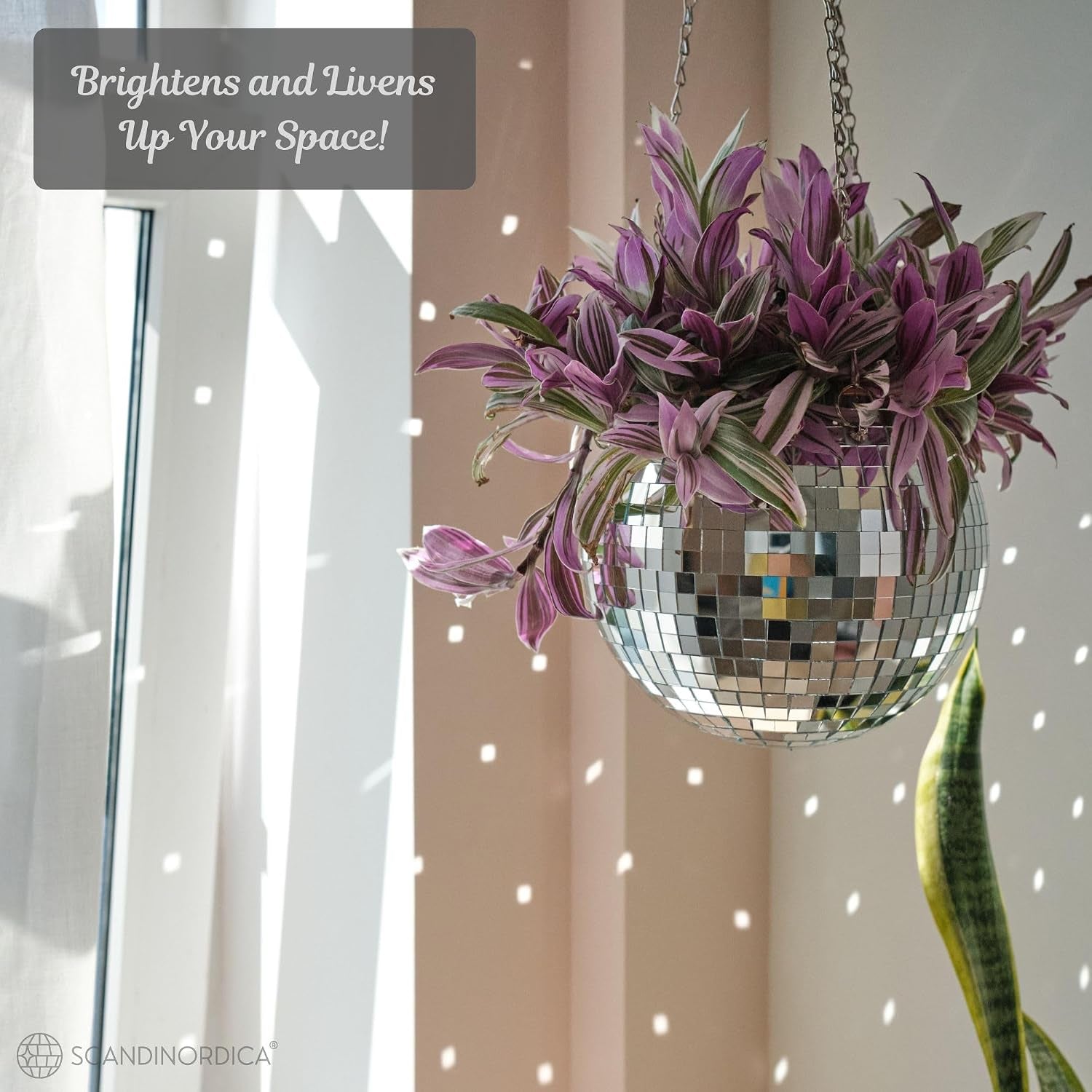 Disco Ball Planter – Value Package: Disco Planter with Chain, Macrame Hanger and Acrylic Stand, Includes Self Watering Insert, Preppy Room Decor, Funky Decor | 8 Inch Silver